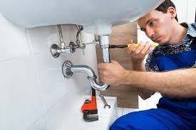 Best Garbage Disposal Repair and Installation  in Burnt Mills, MD